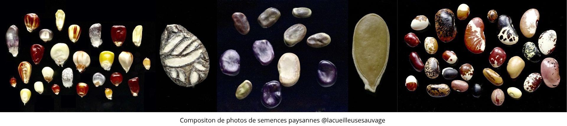 Contexte et enjeux MSPM