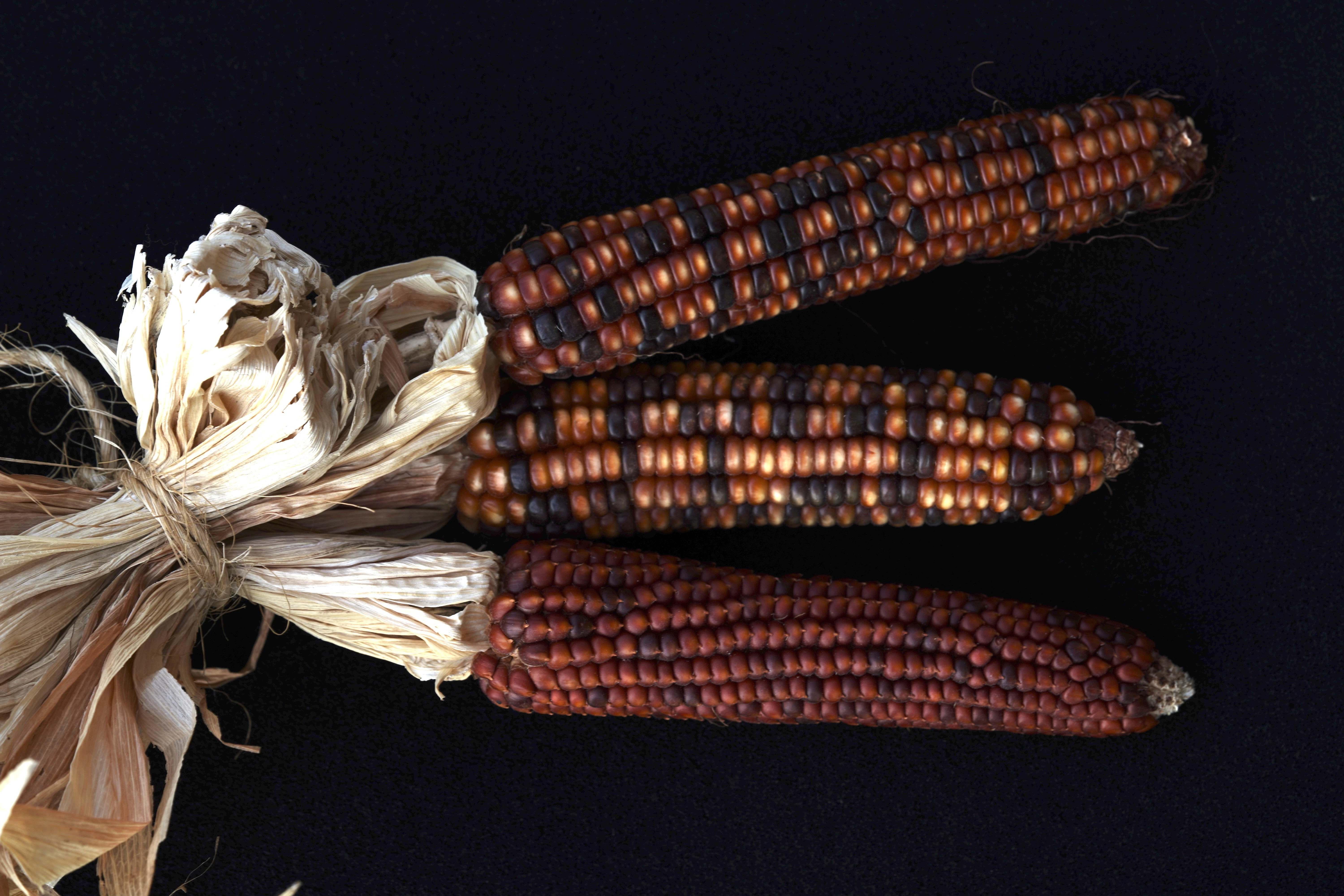 Contexte et enjeux MSPM