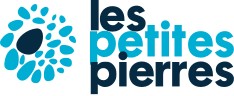logo LPP bleu