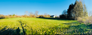 Les projets de sanctuarisation 1 image