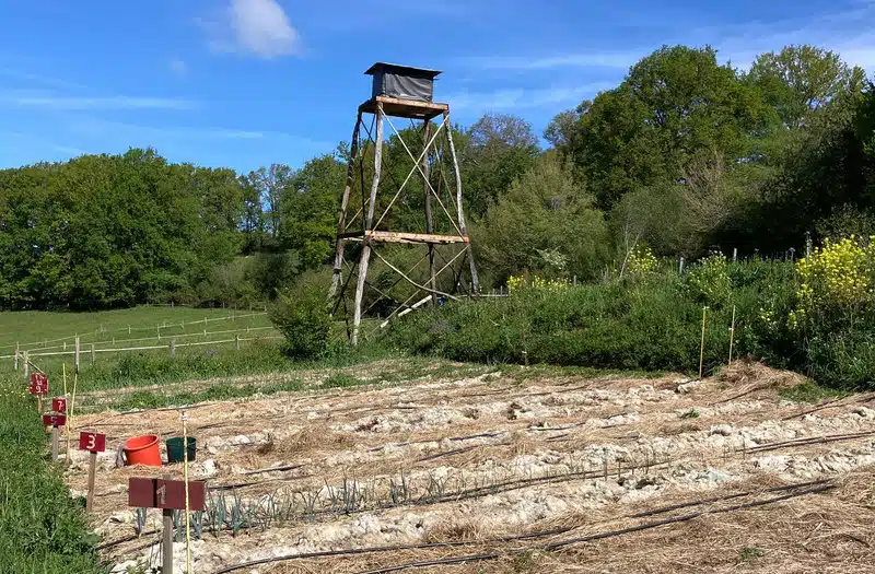 <a href="https://fermelegere.greli.net/index" target="_blank">Ferme Légère</a>