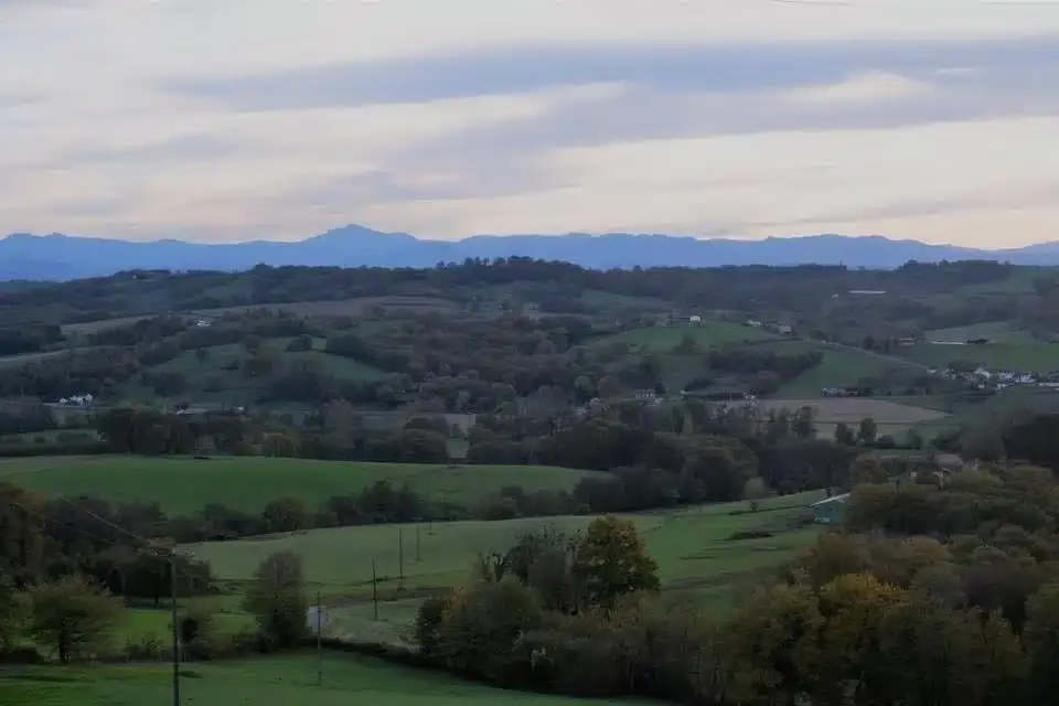 L'arbre et la pirogue