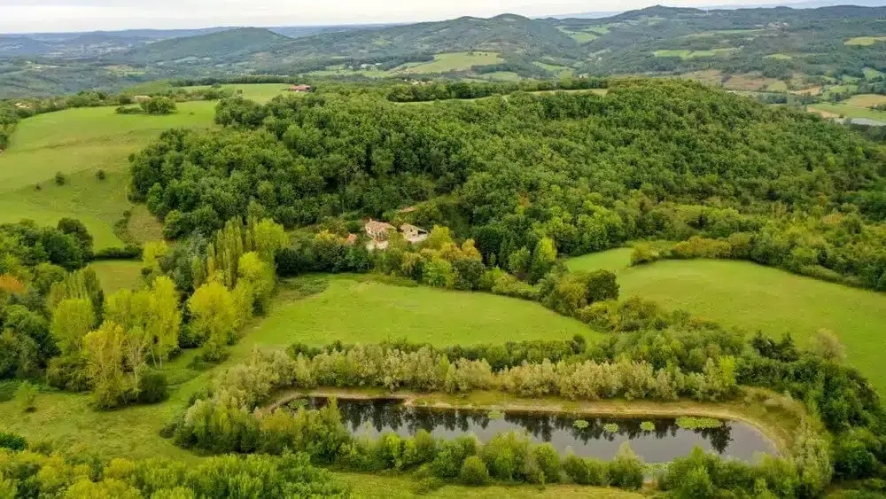 <a href="https://cooperative-oasis.org/oasis/montbel-arbre/" target="_blank">Montbel Arbre</a>